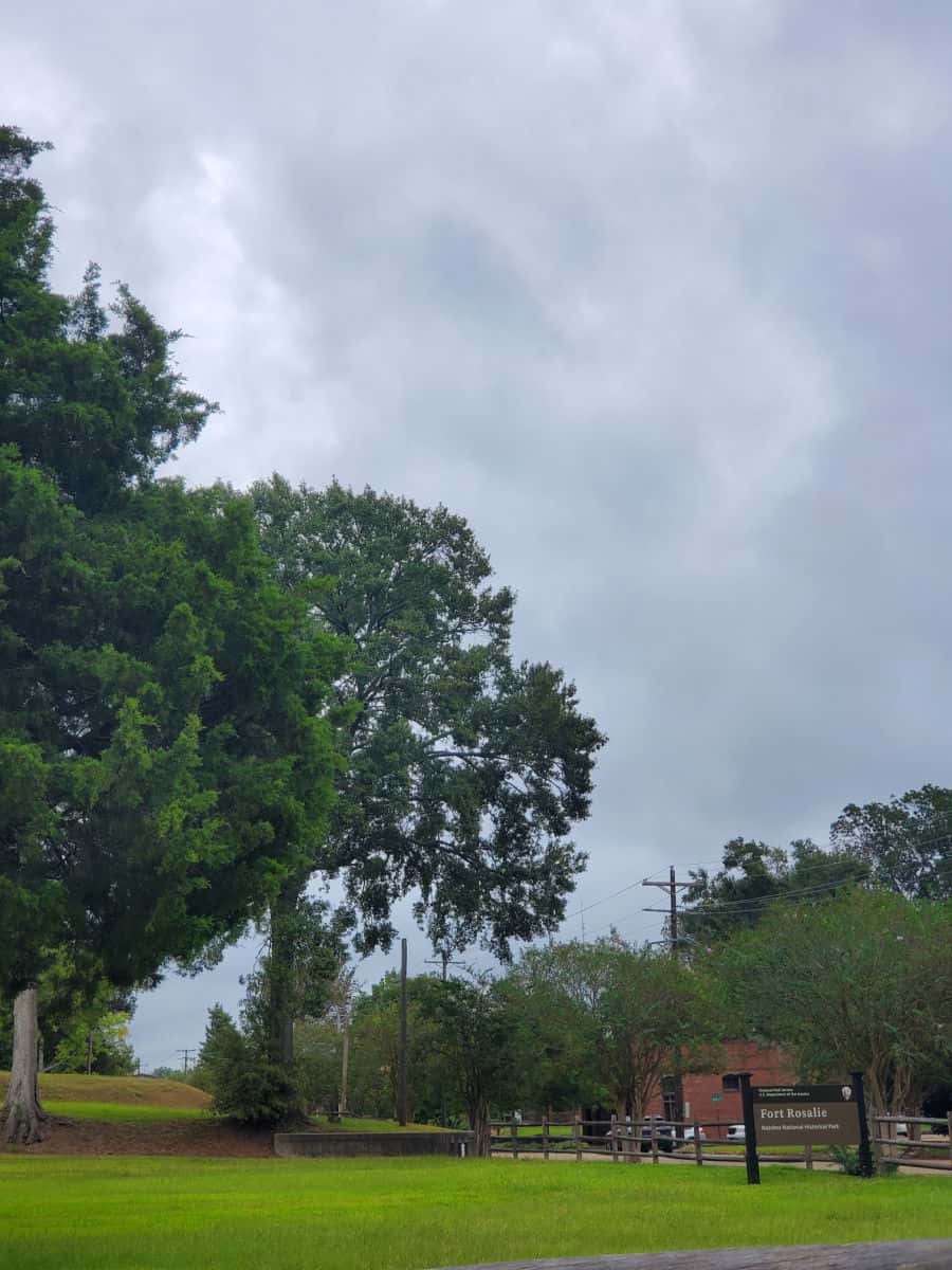 Fort Rosalie entrance sign next to a grassy area and tall tree