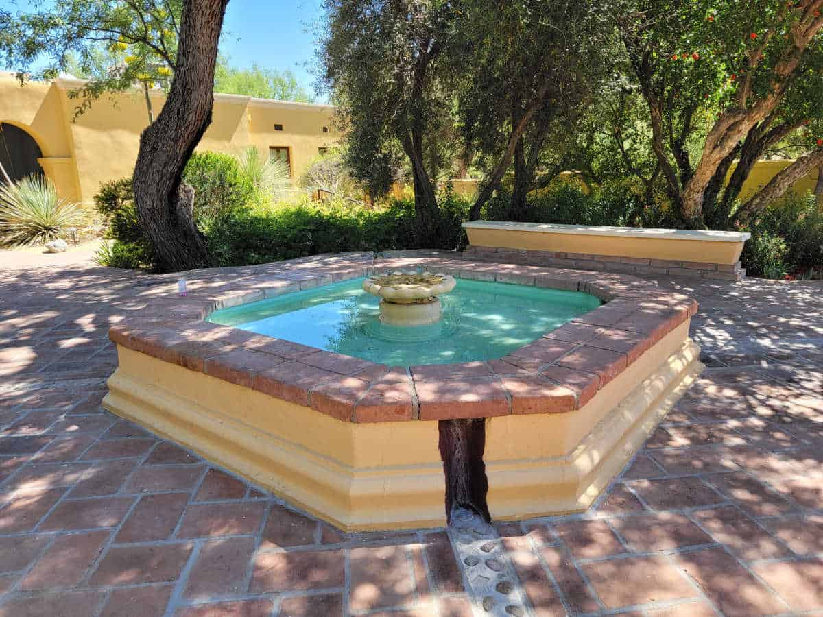 garden fountain surrounded by benches and plants