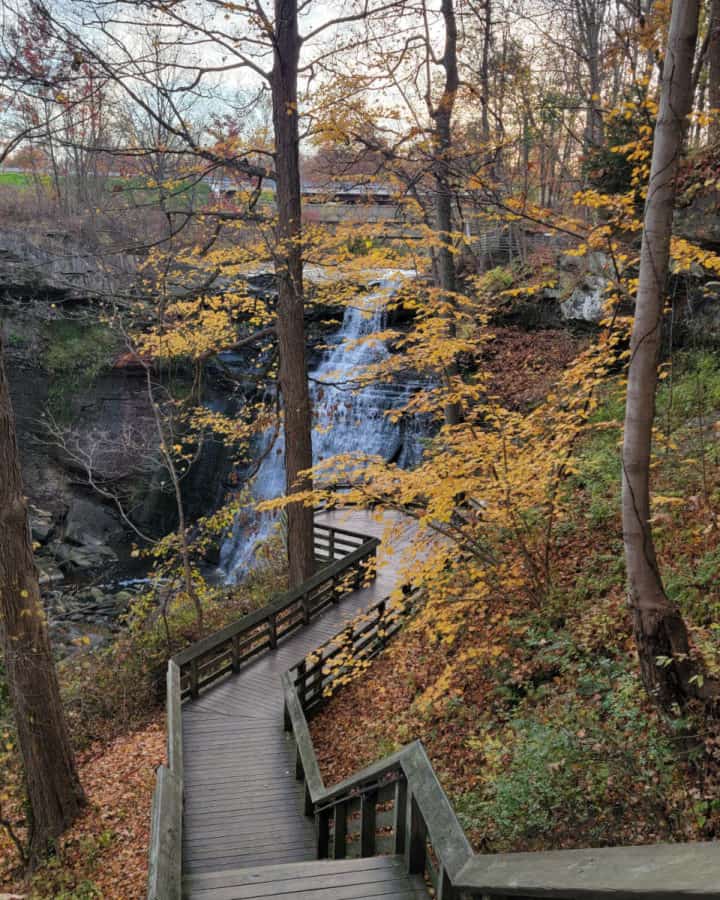 Wooden boardwalk trail leading to a waterfall with fall colors