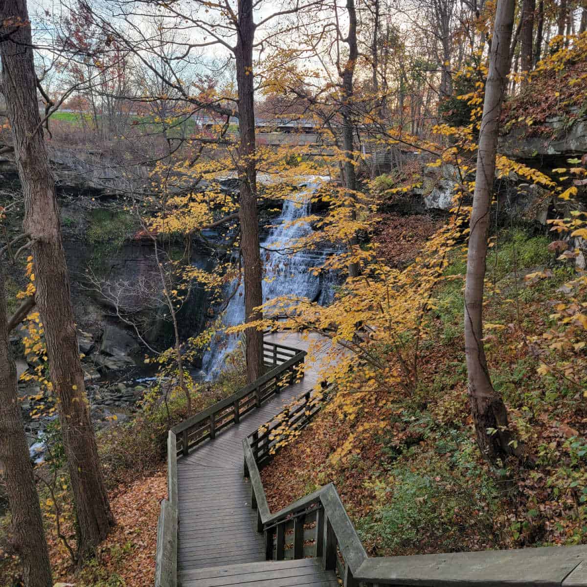 Wooden boardwalk trail leading to a waterfall with fall colors