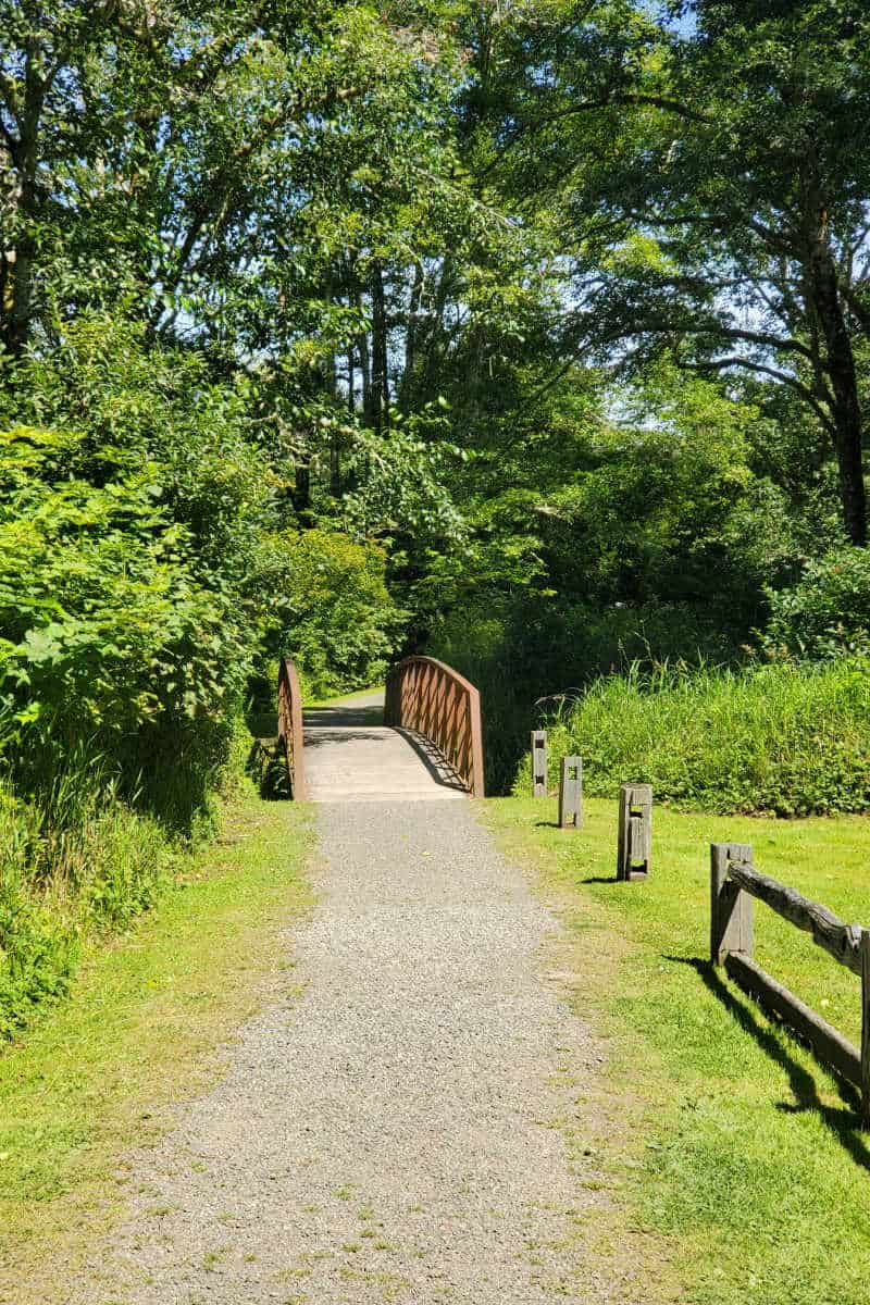 Beginning of the Ozette Triangle loop trail