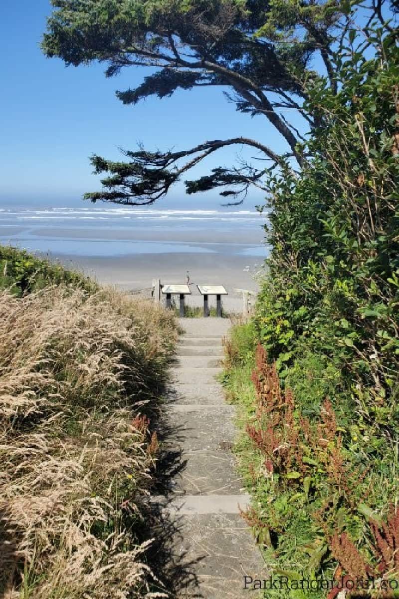 Stairway to Kalaloch Beach Olympic National Park