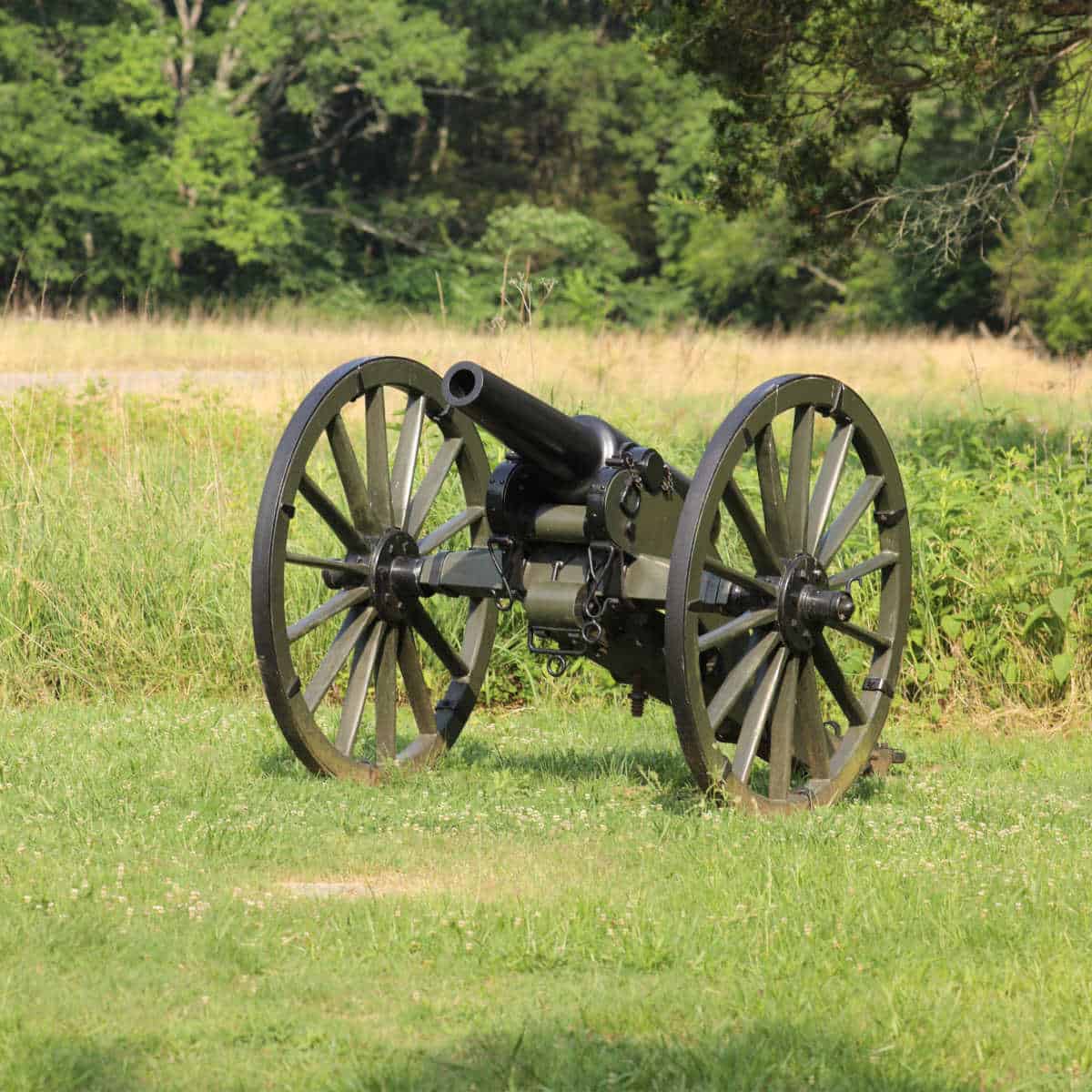 Historic Cannon in a grassy field