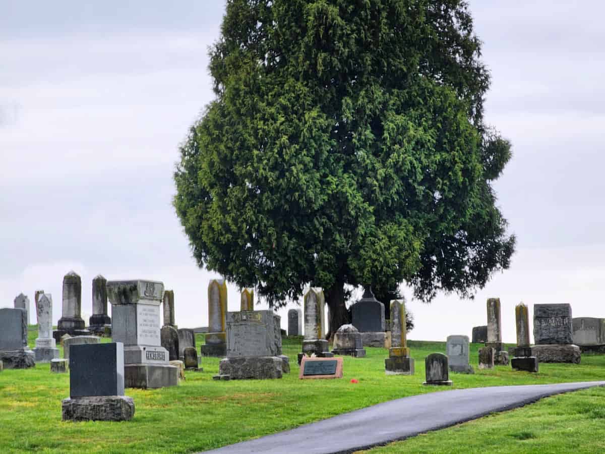 Antietam National Cemetery headstones near a large tree