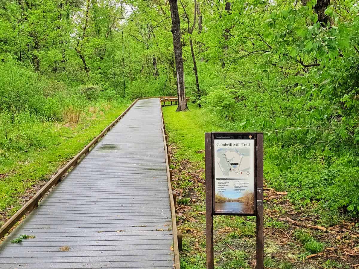 Gambrill Mill trail sign and boardwalk leading into the trees