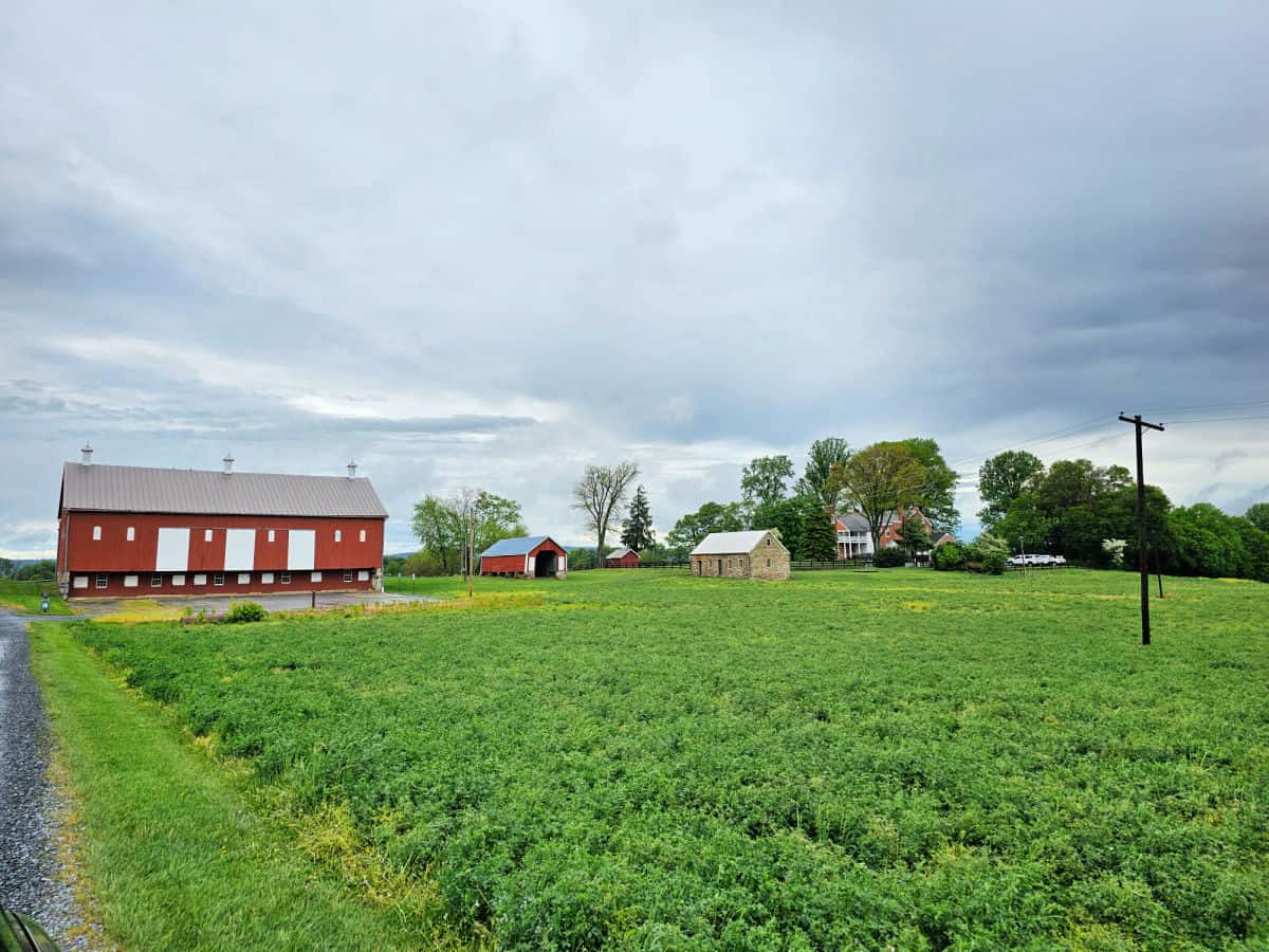 Historic red barn with other buildings and a grassy field. 