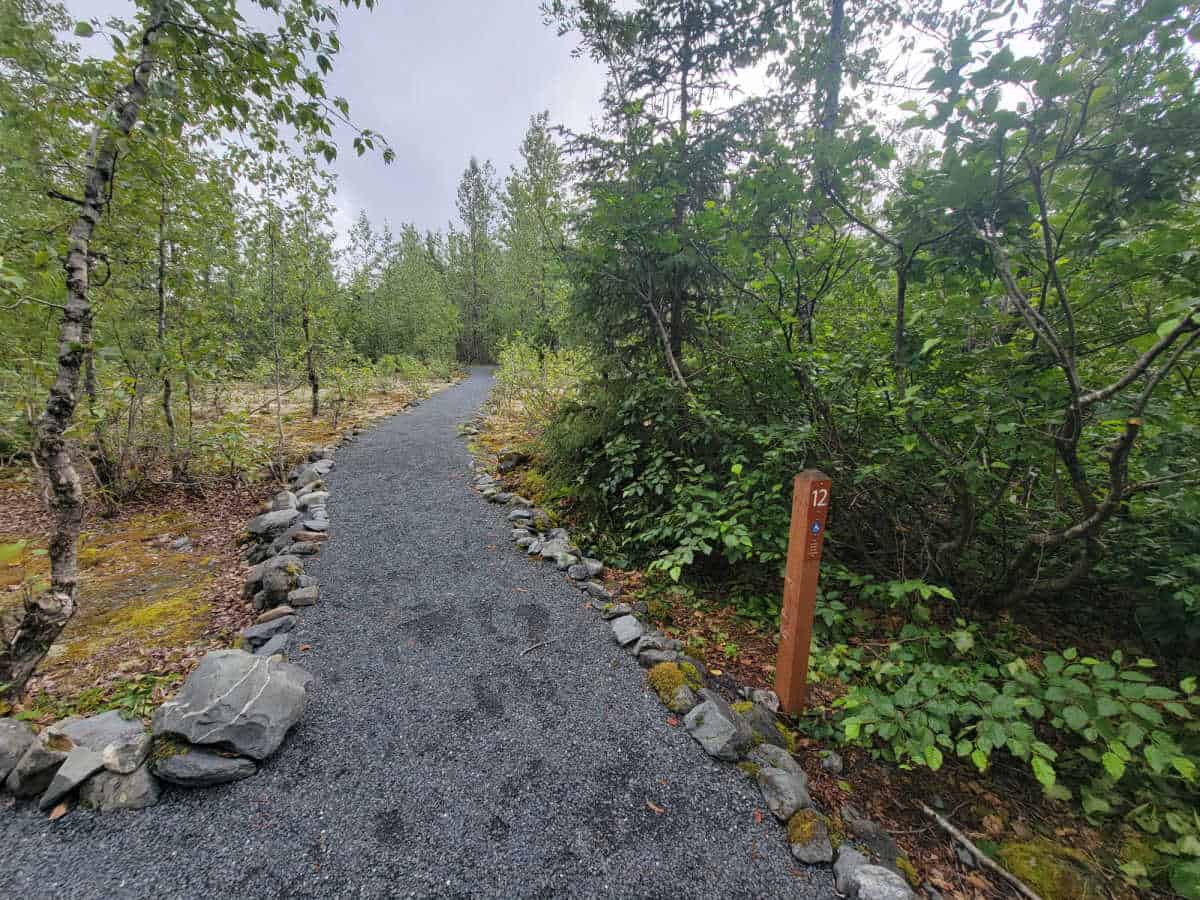 campsite 12 at Exit Glacier Campground Kenai Fjords National Park