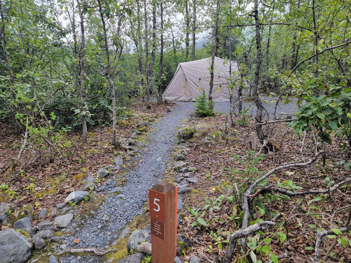 campsite 5 at Exit Glacier Campground Kenai Fjords National Park