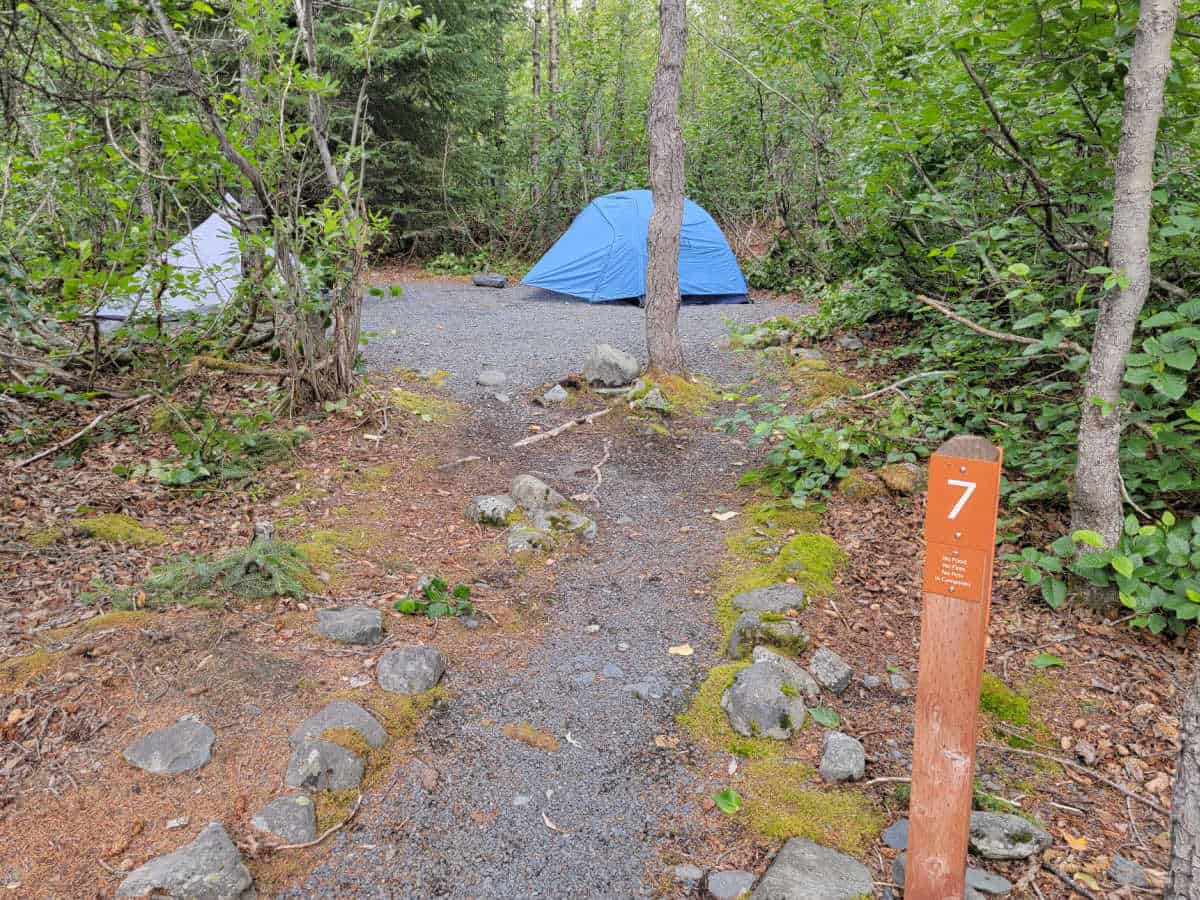 campsite 7 at Exit Glacier Campground Kenai Fjords National Park