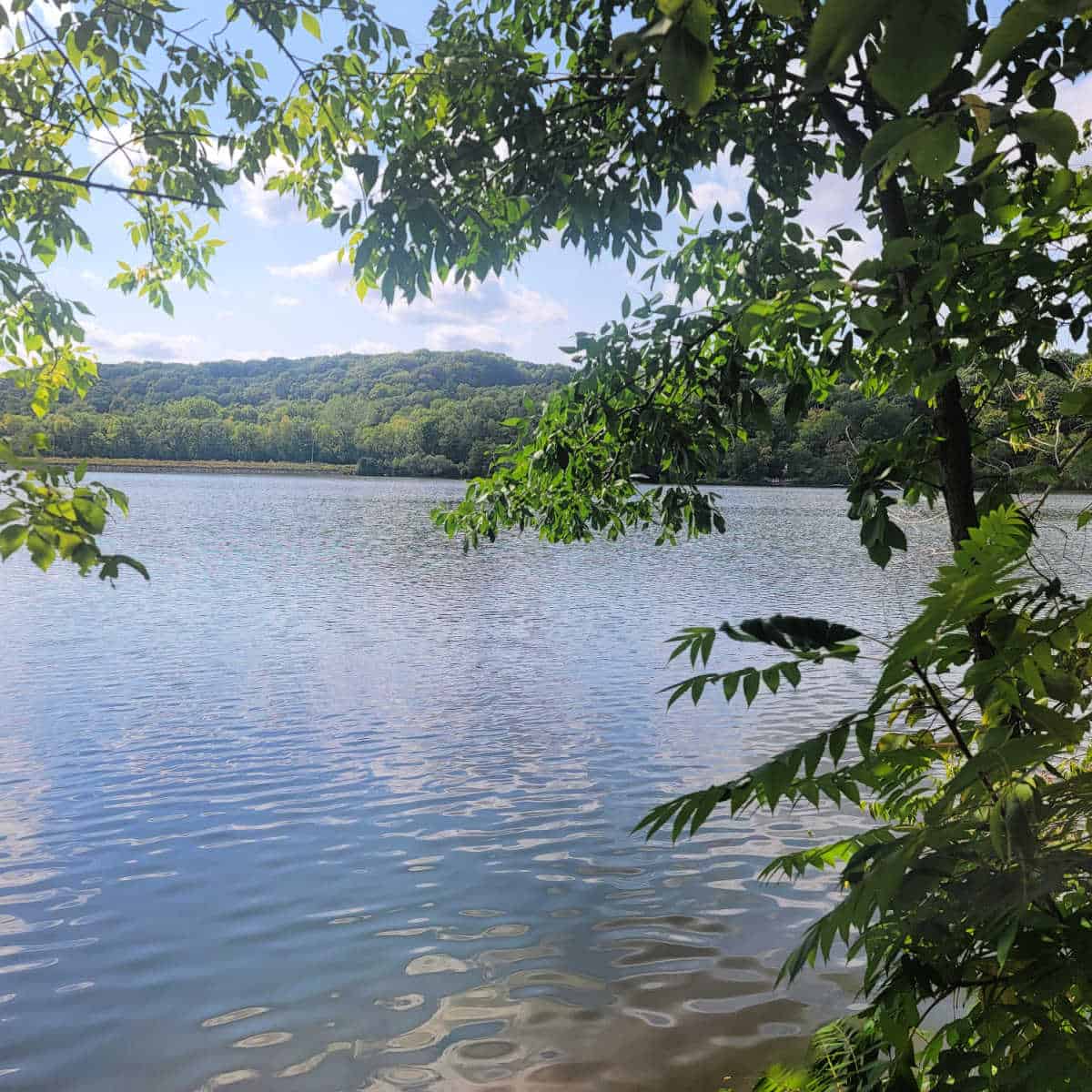 View of the Saint Croix National Scenic River