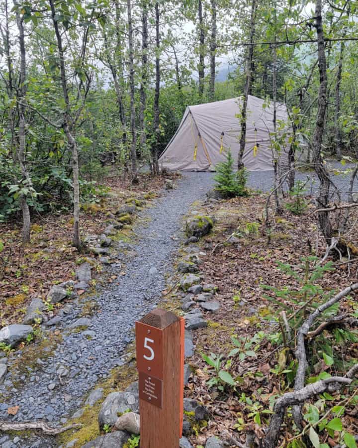 Campsite 5 Exit Glacier National Park Alaska