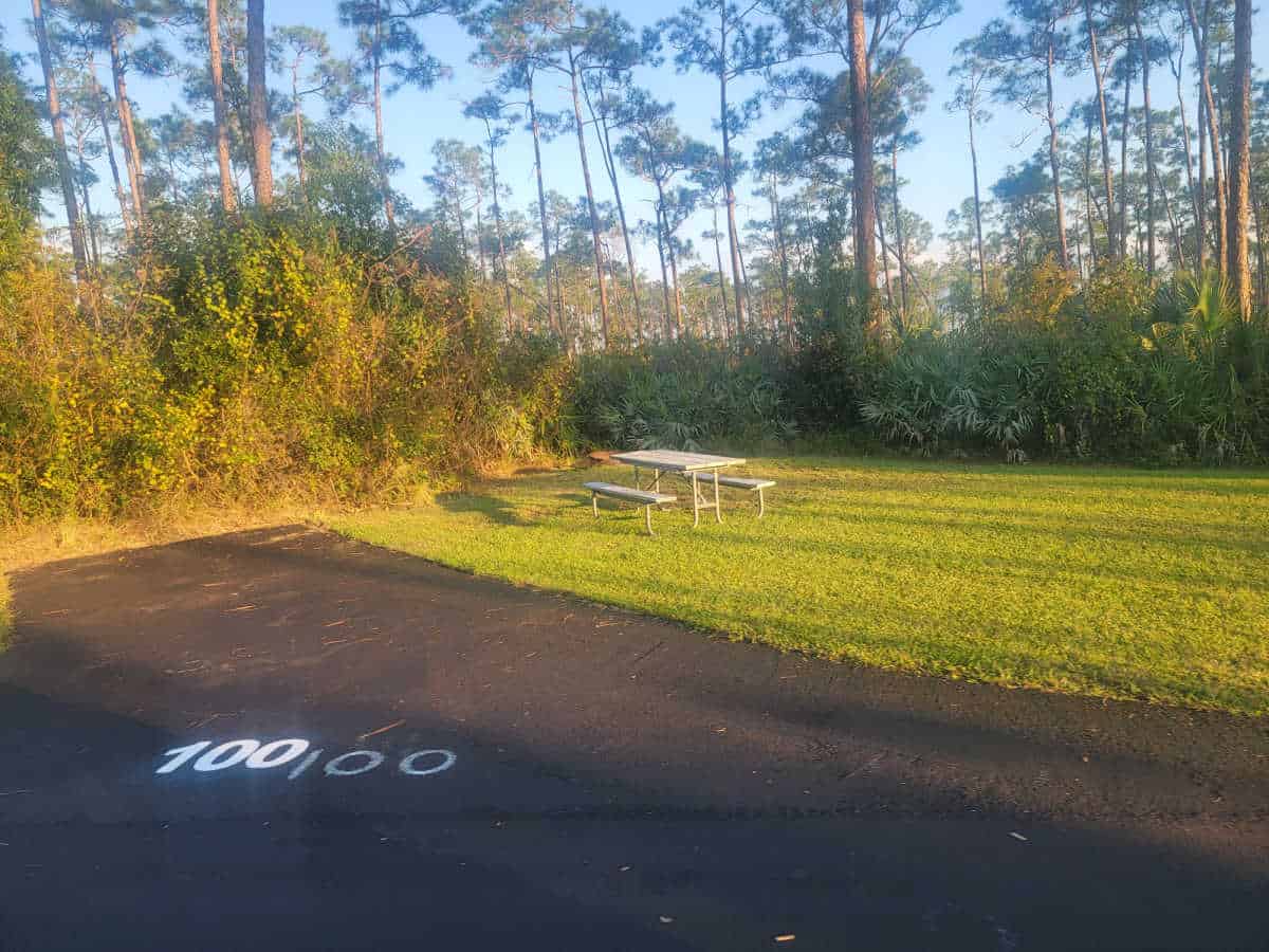 Campsite 100 Long Pine Key Campground Everglades National Park Florida