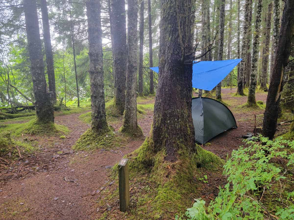 Campsite 11 Bartlett Cove Campground Glacier Bay National Park