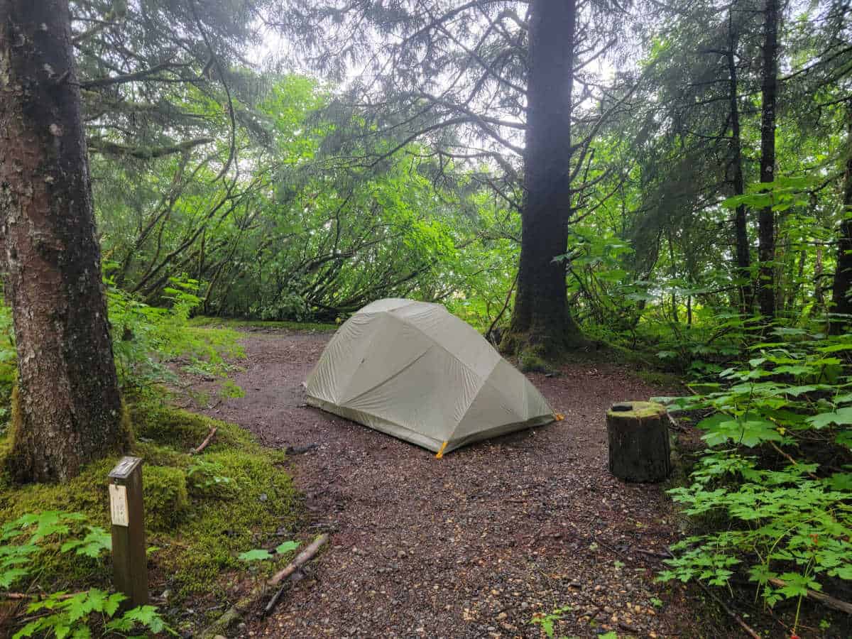 Campsite 17 Bartlett Cove Campground Glacier Bay National Park