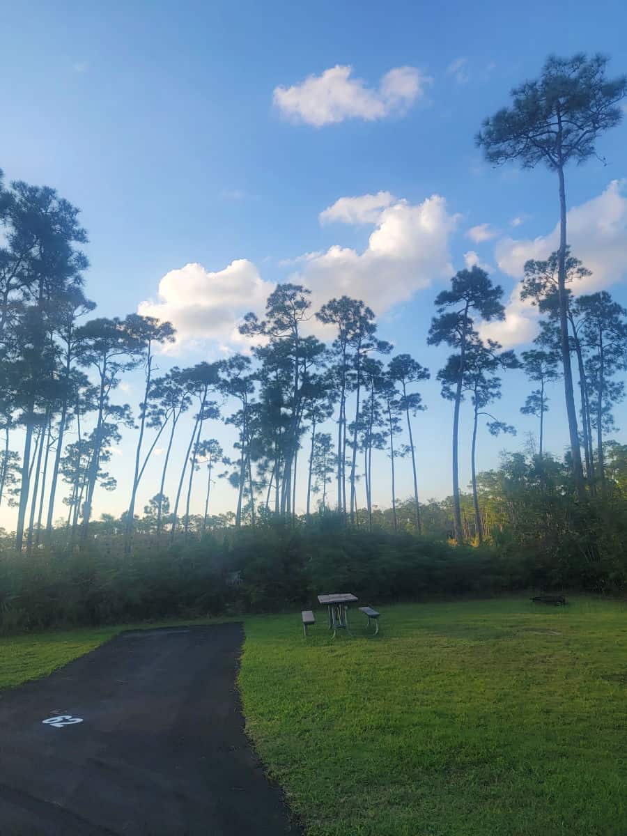 Campsite 63 Long Pine Key Campground Everglades National Park Florida