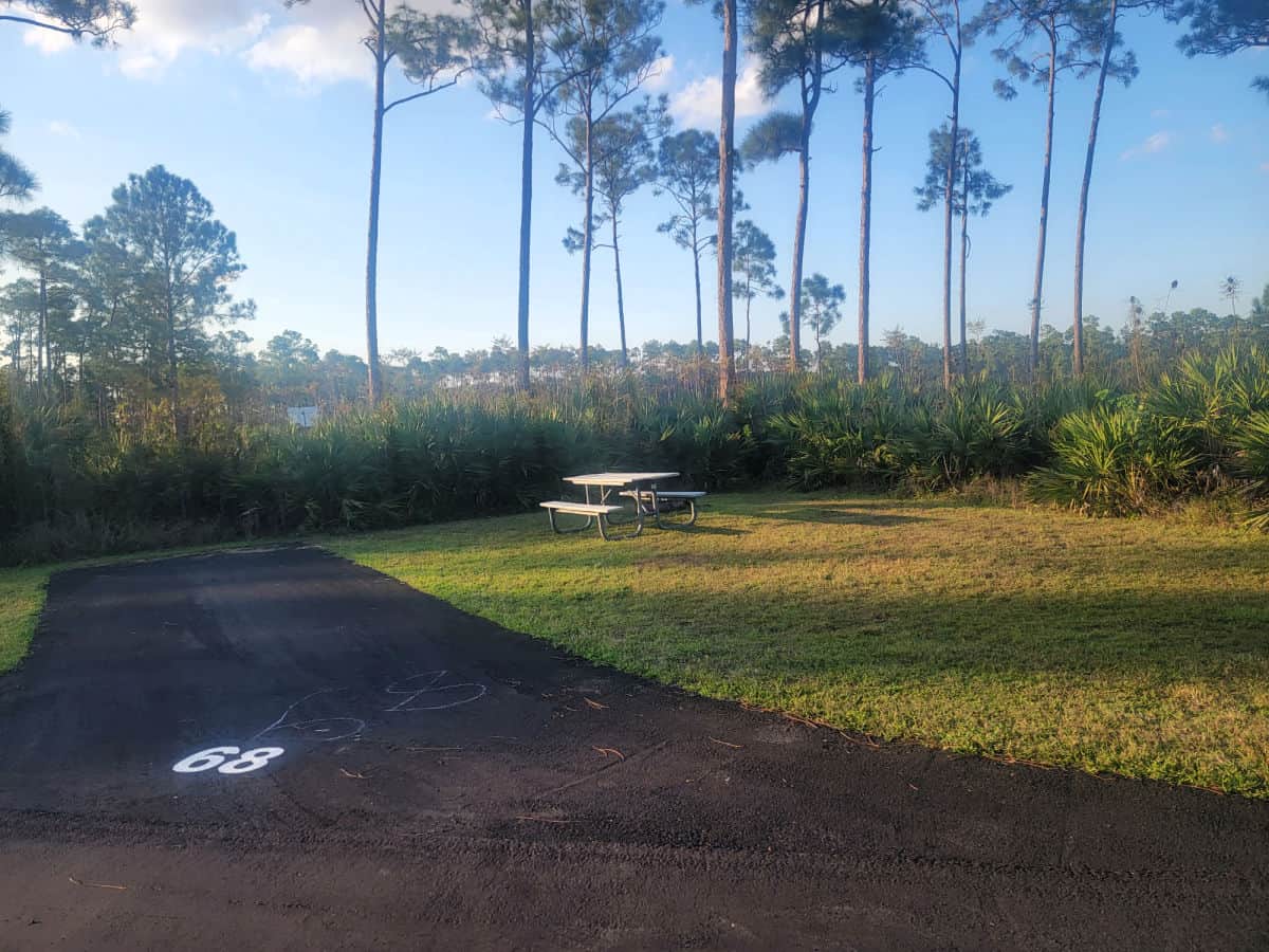 Campsite 68 Long Pine Key Campground Everglades National Park Florida