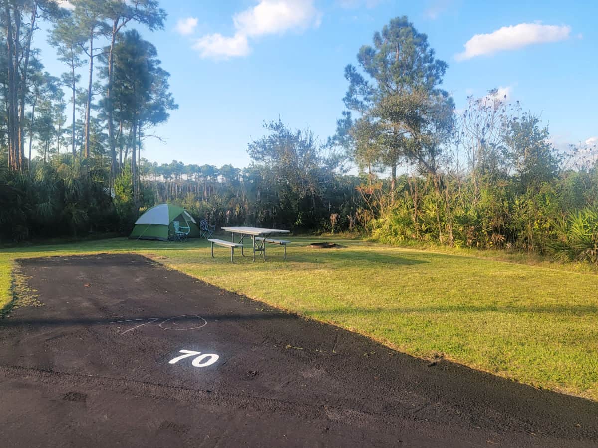 Campsite 70 Long Pine Key Campground Everglades National Park Florida