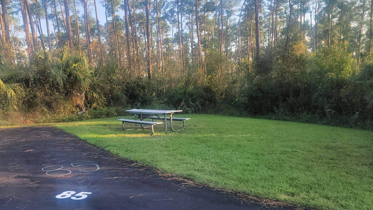 Campsite 85 Long Pine Key Campground Everglades National Park Florida