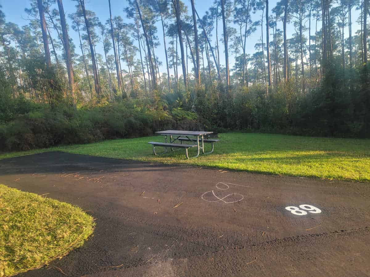 Campsite 89 Long Pine Key Campground Everglades National Park Florida