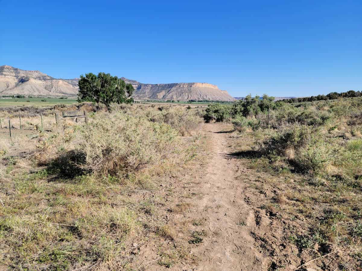 Dirt trail leading through shrub brush in Yucca House National Monument