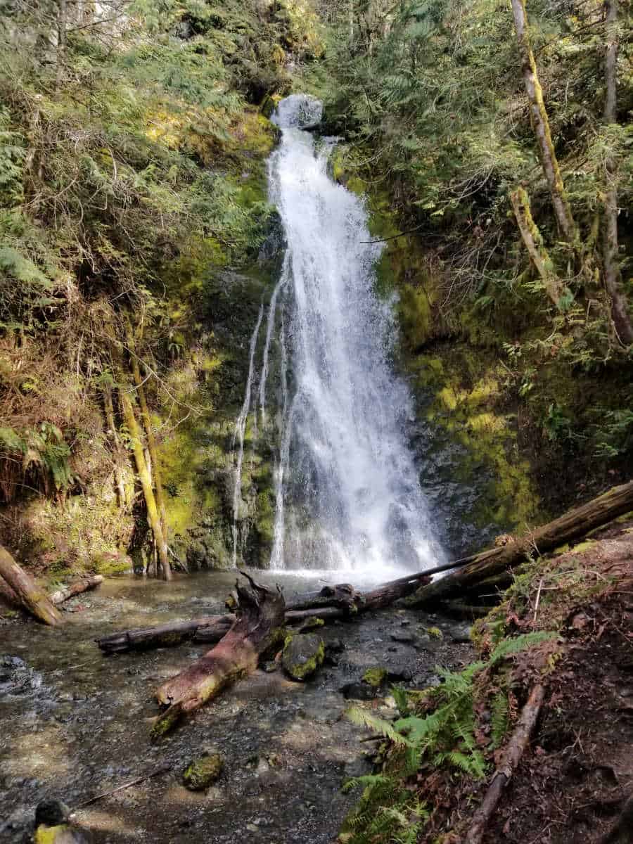 Madison Falls at Olympic National Park