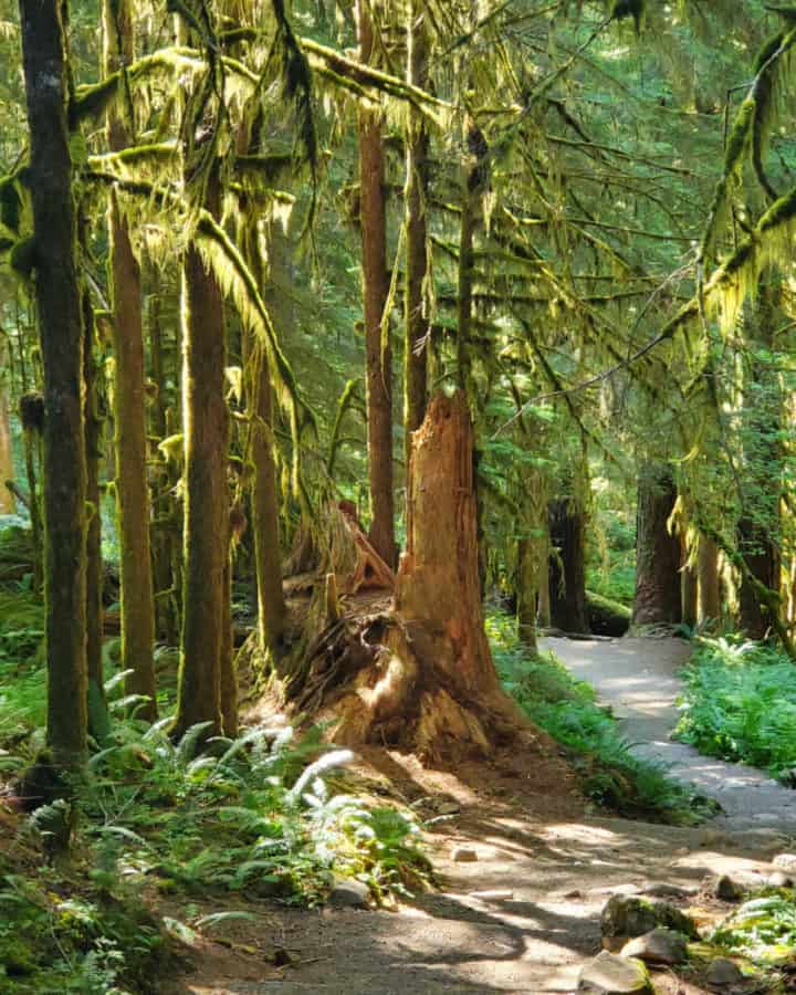 National Parks near Seattle Washington