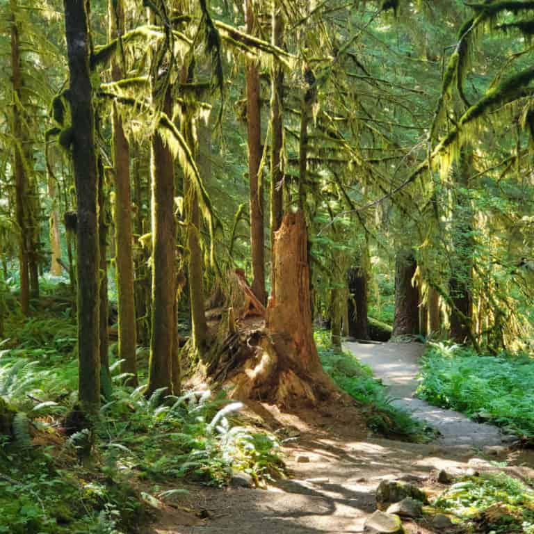 National Parks near Seattle, Washington | Park Ranger John