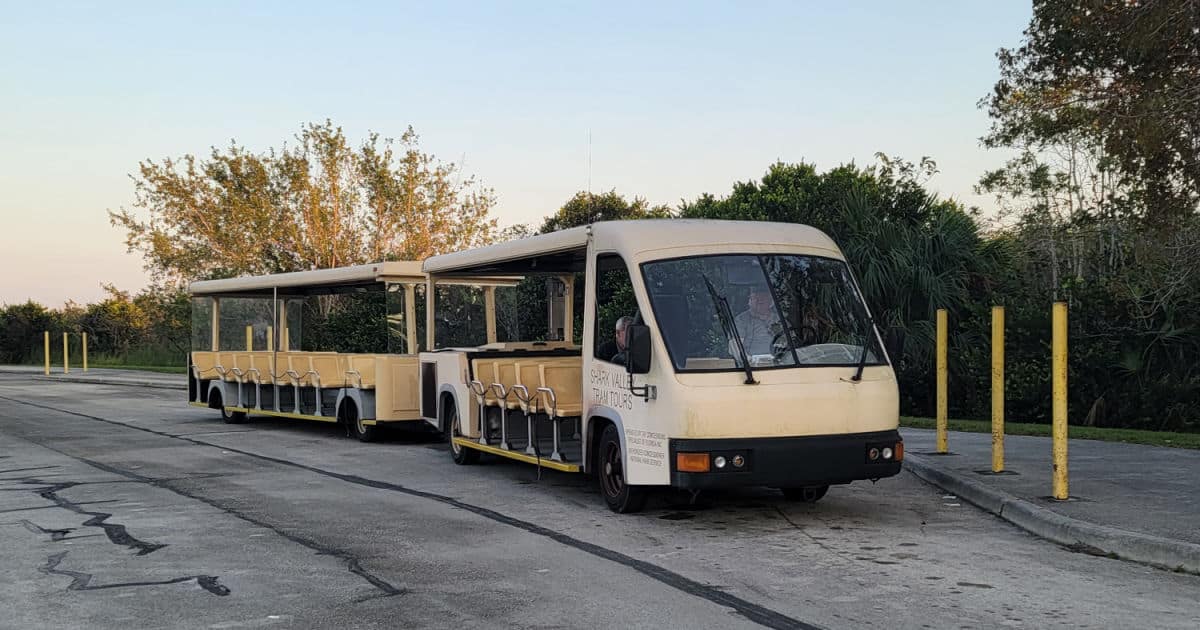Shark Valley Tram Tours - Everglades National Park - Vimarsana News