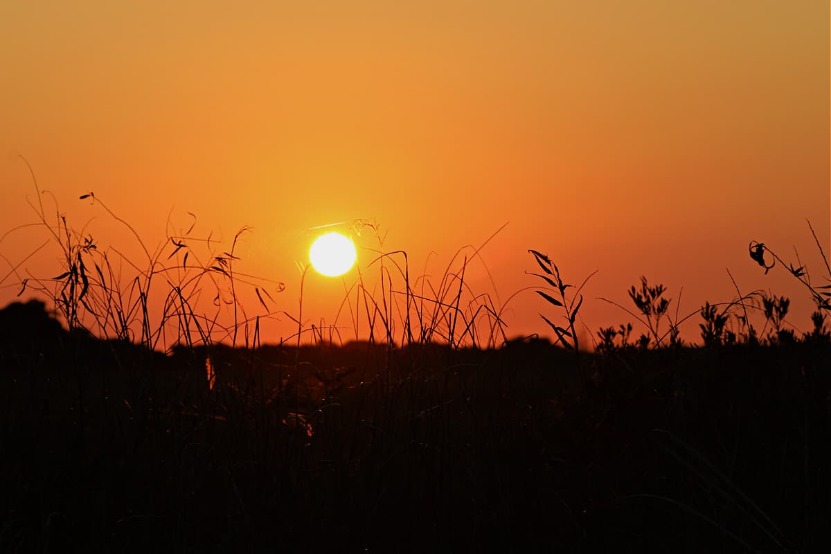 Sunset at Shark Valley, Everglades National Park