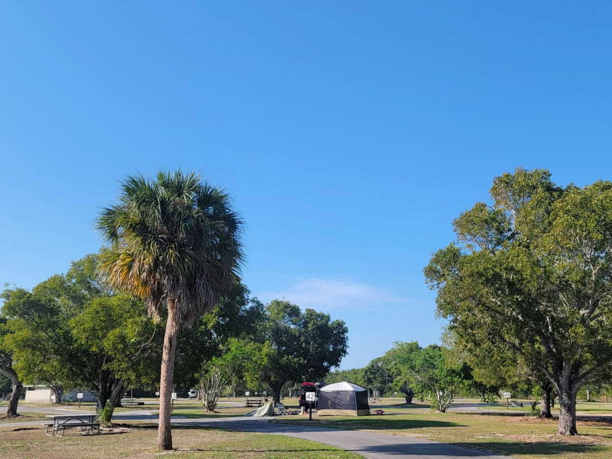 Campsite 42 T Loop Flamingo Campground Everglades National Park Florida