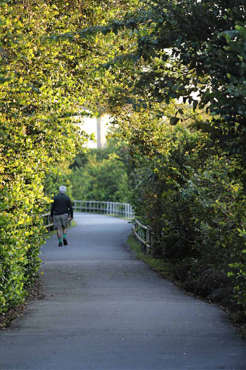 Walking to the Observation Tower in Shark Valley