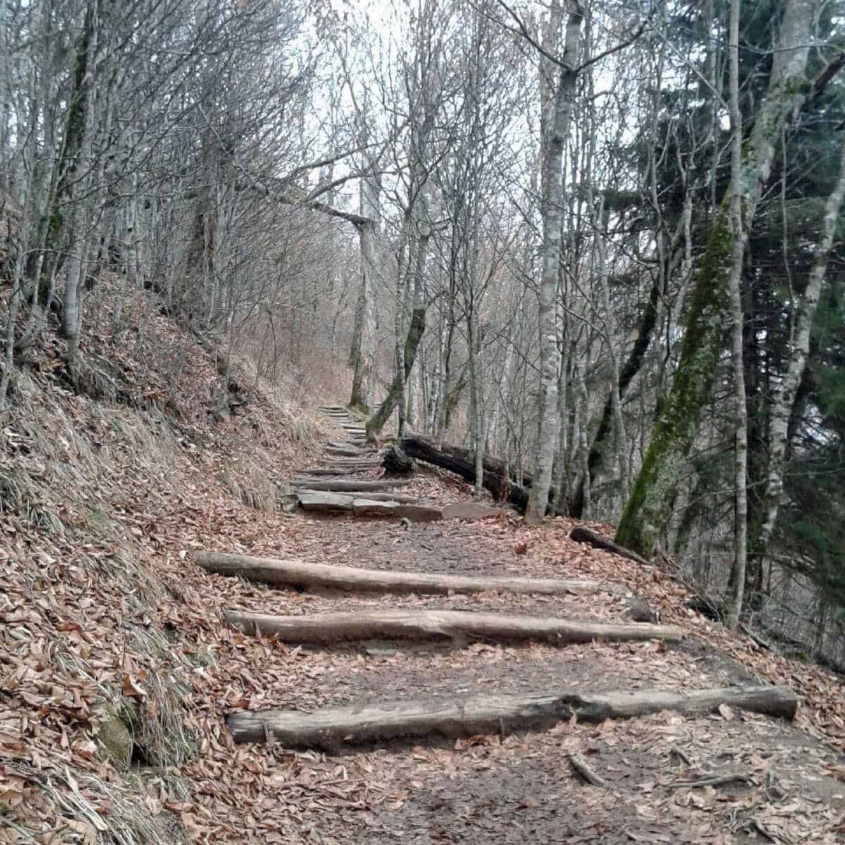 Photo of the Appalachian Trail, the Appalachian Trail runs through several states including Connecticut