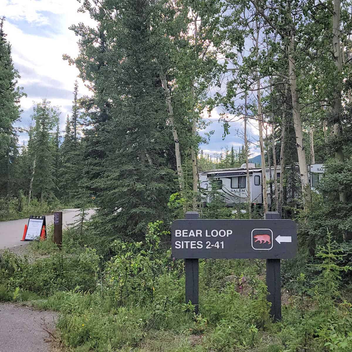 Bear Loop where b sites are located in Riley Creek Campground Denali