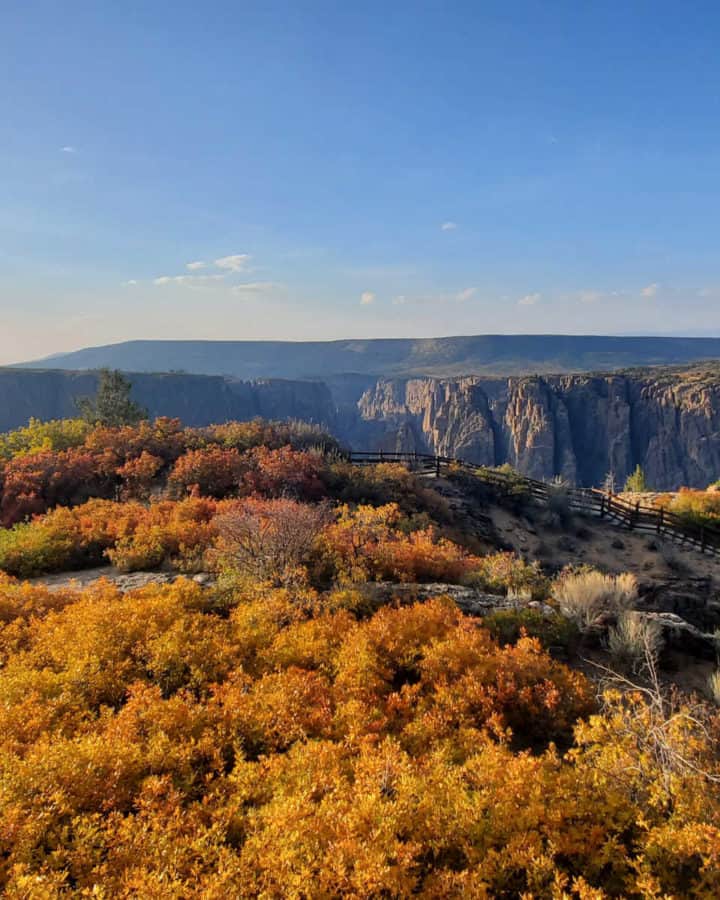 Beautiful Fall Colors at Black Canyon of the Gunnison National Park