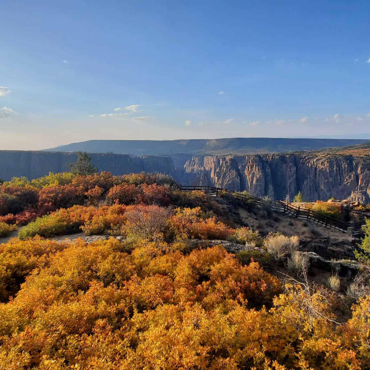 Beautiful Fall Colors at Black Canyon of the Gunnison National Park