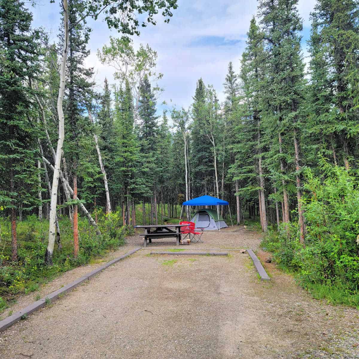 Campsite 18B Riley Creek Campground Denali National Park Alaska