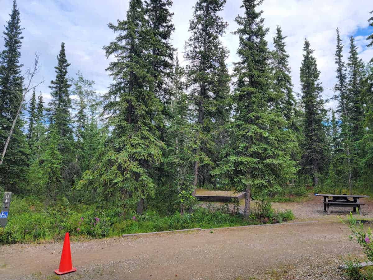 Campsite 37A Riley Creek Campground Denali National Park Alaska