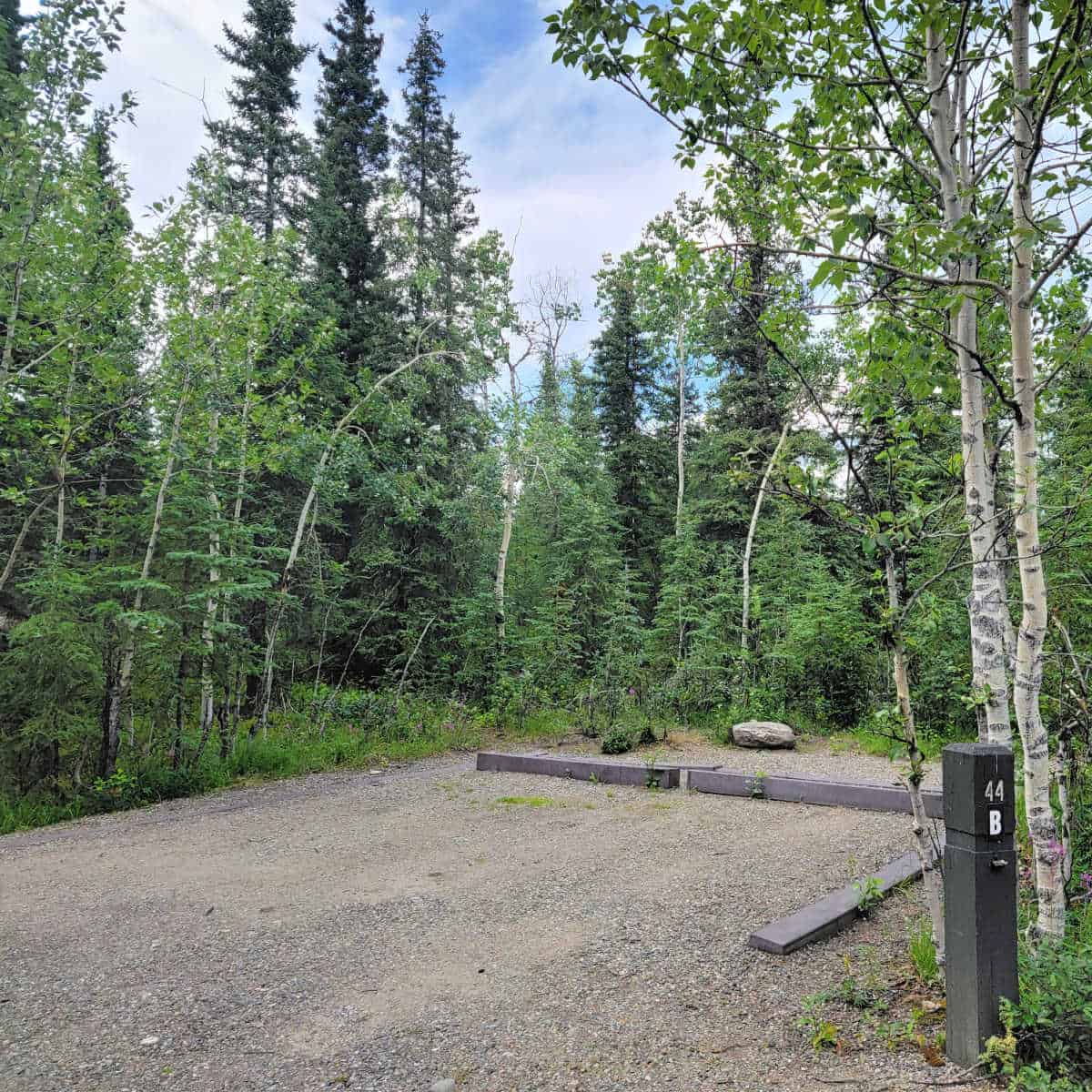 Campsite 44B Riley Creek Campground Denali National Park Alaska