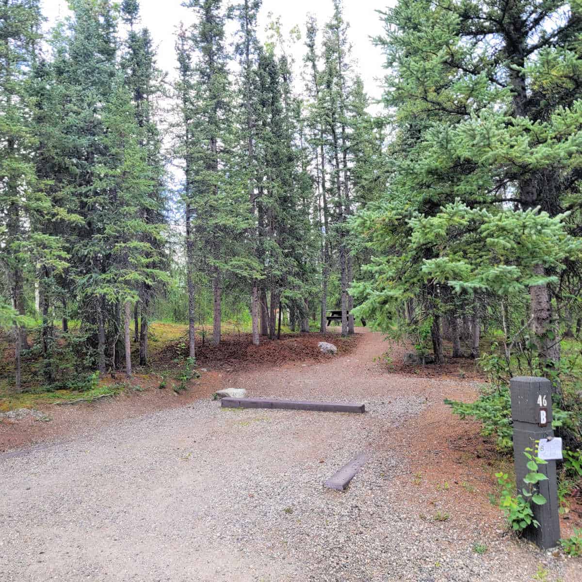 Campsite 46B Riley Creek Campground Denali National Park Alaska