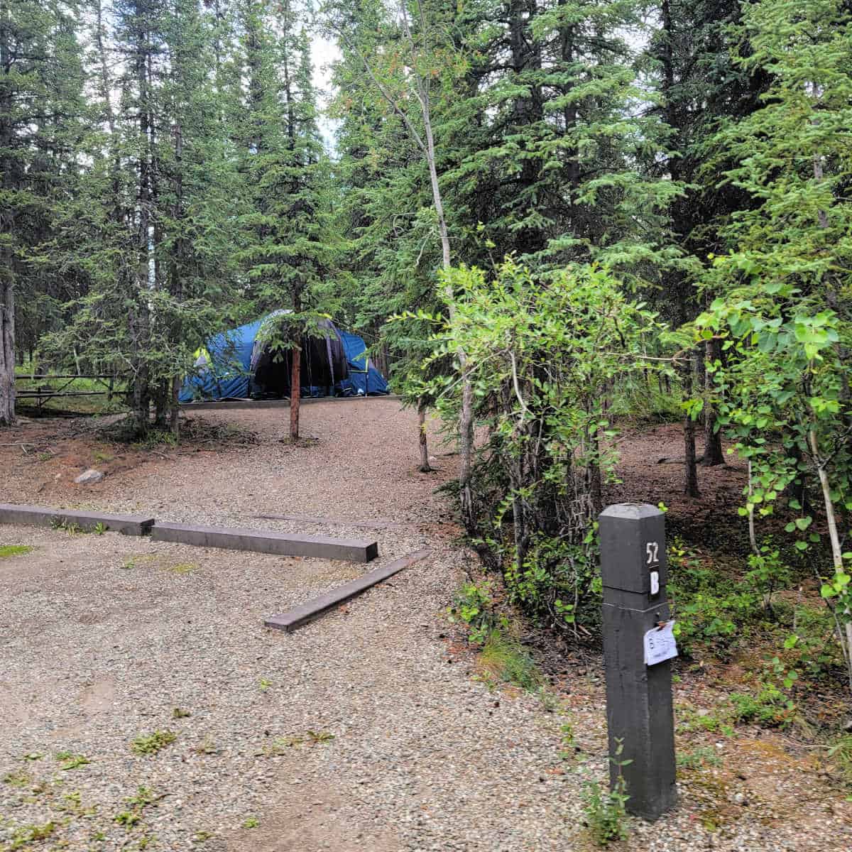 Campsite 52B Riley Creek Campground Denali National Park Alaska