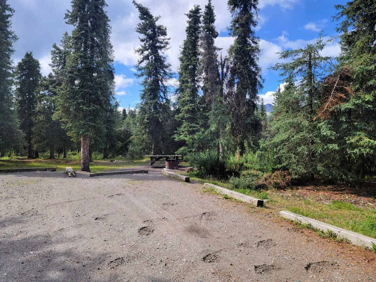 Campsite 5A Savage River Campground Denali National Park Alaska