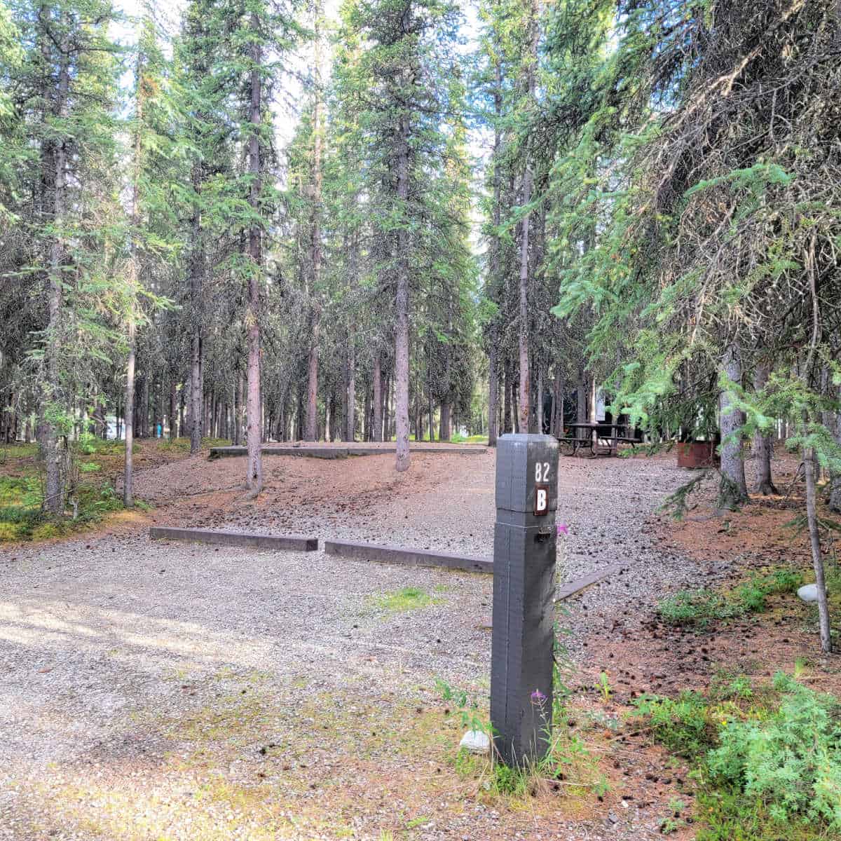 Campsite 82B Riley Creek Campground Denali National Park Alaska