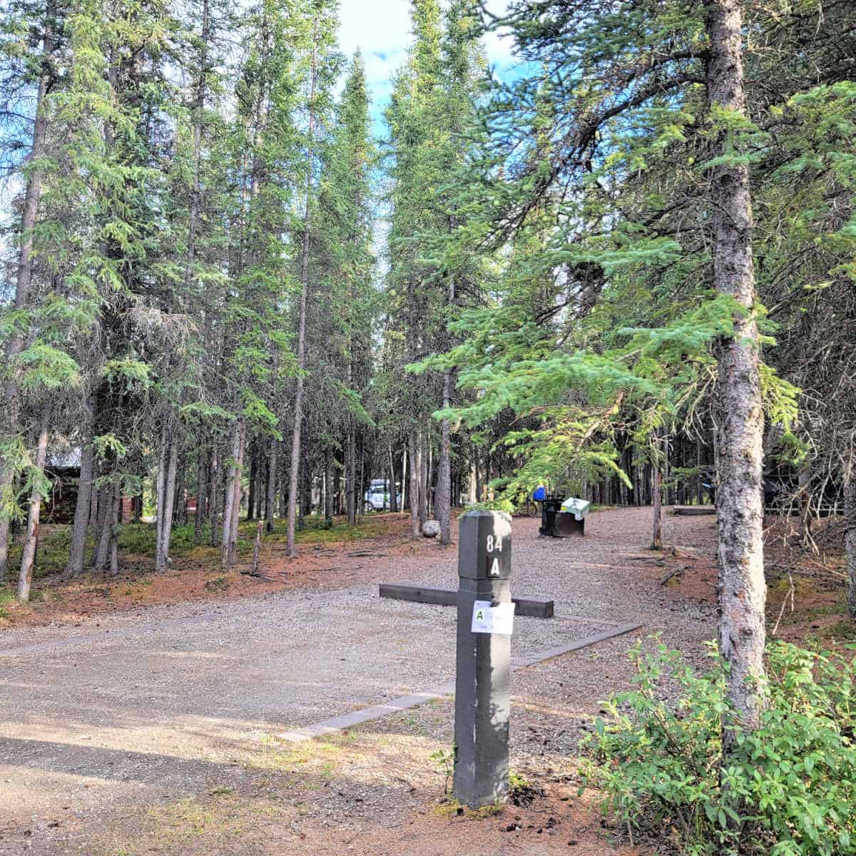 Campsite 84A Riley Creek Campground Denali National Park Alaska