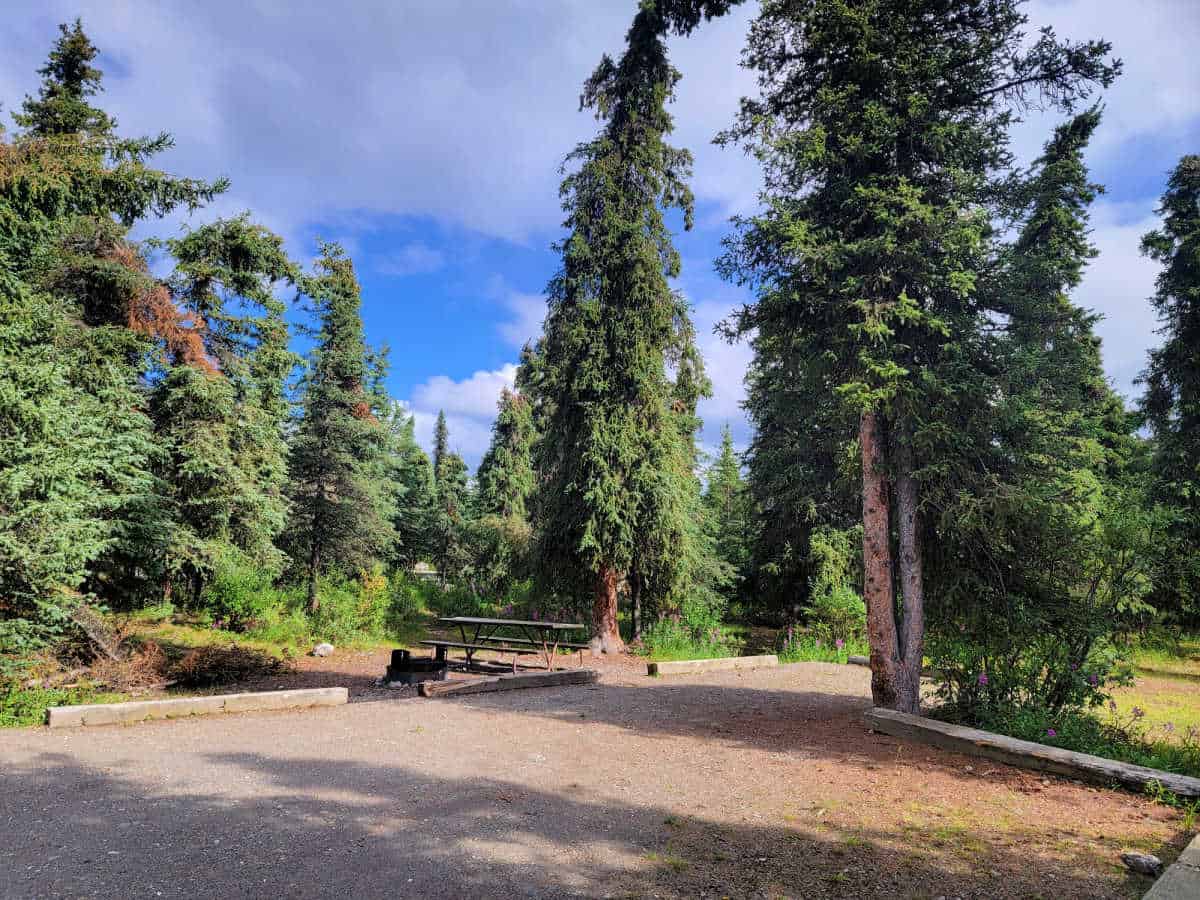 Campsite 8A Savage River Campground Denali National Park Alaska