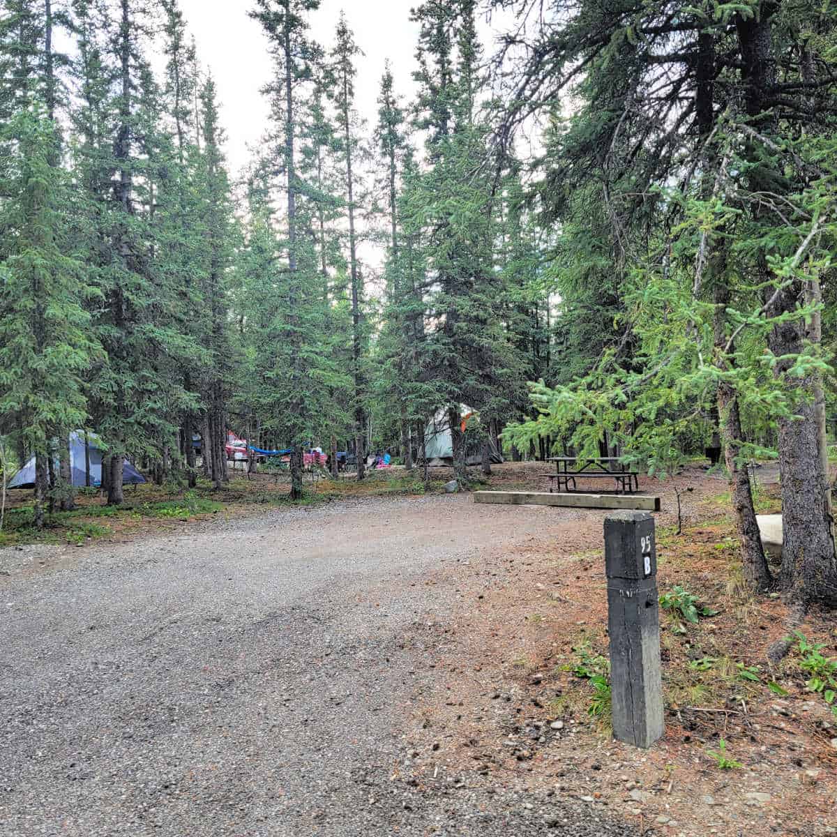 Campsite 95B Riley Creek Campground Denali National Park Alaska