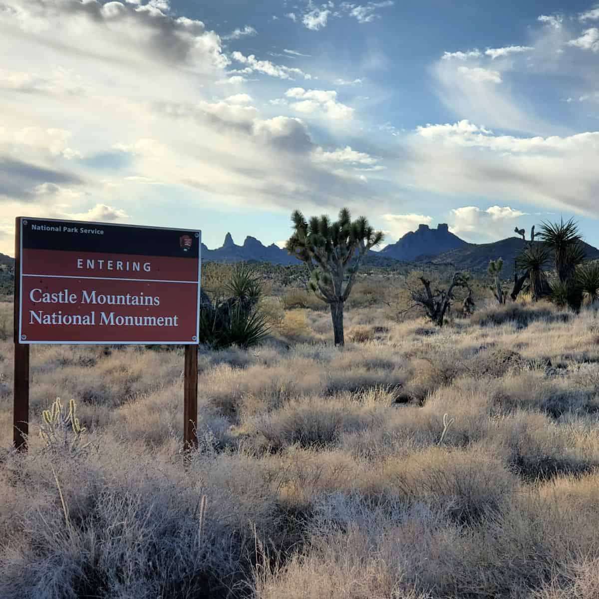 Castle Mountains National Monument