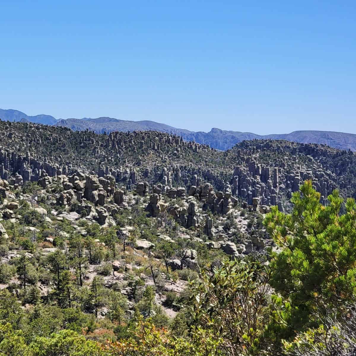 Chiricahua National Monument