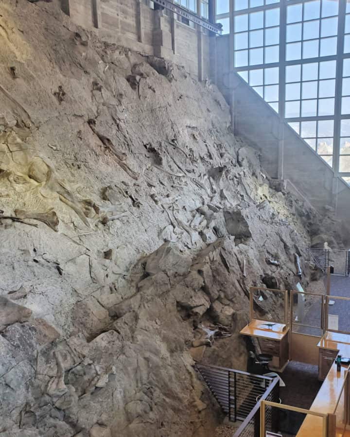 Dinosaur National Monument Quarry Wall Exhibit