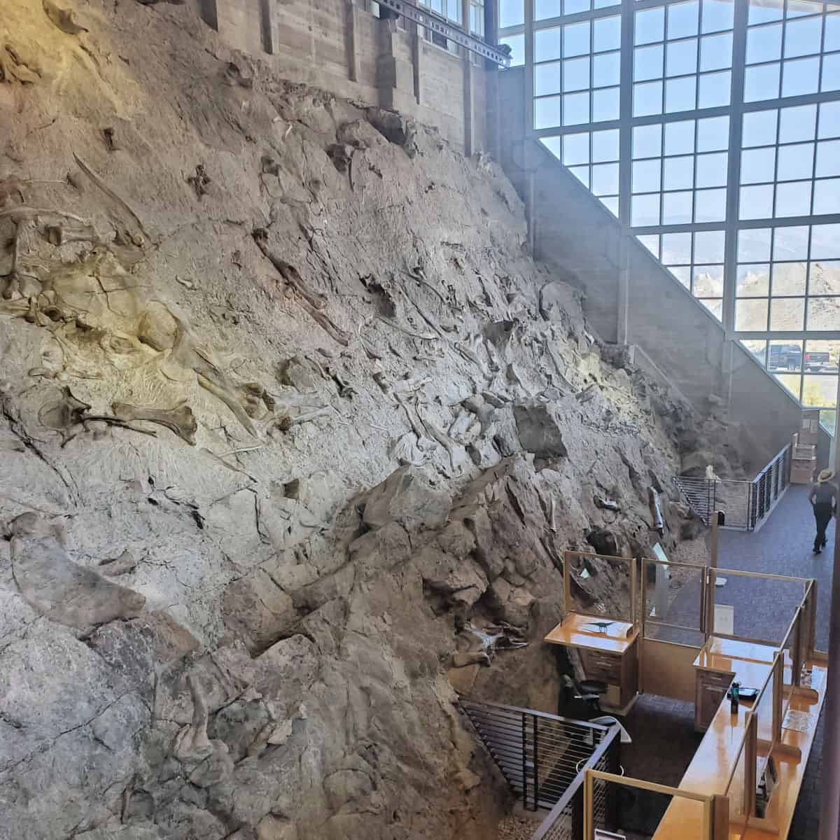 Dinosaur National Monument Quarry Wall Exhibit