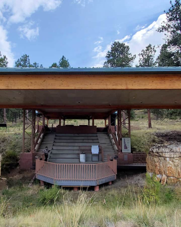 Petrified Forest stumps at Florissant Fossil Beds National Monument